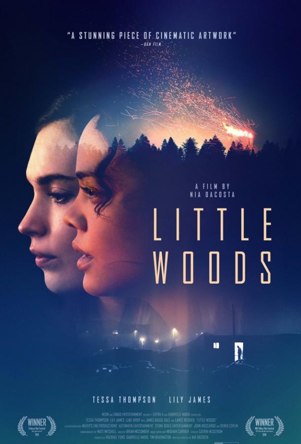 Лесок / Little Woods (2018) 