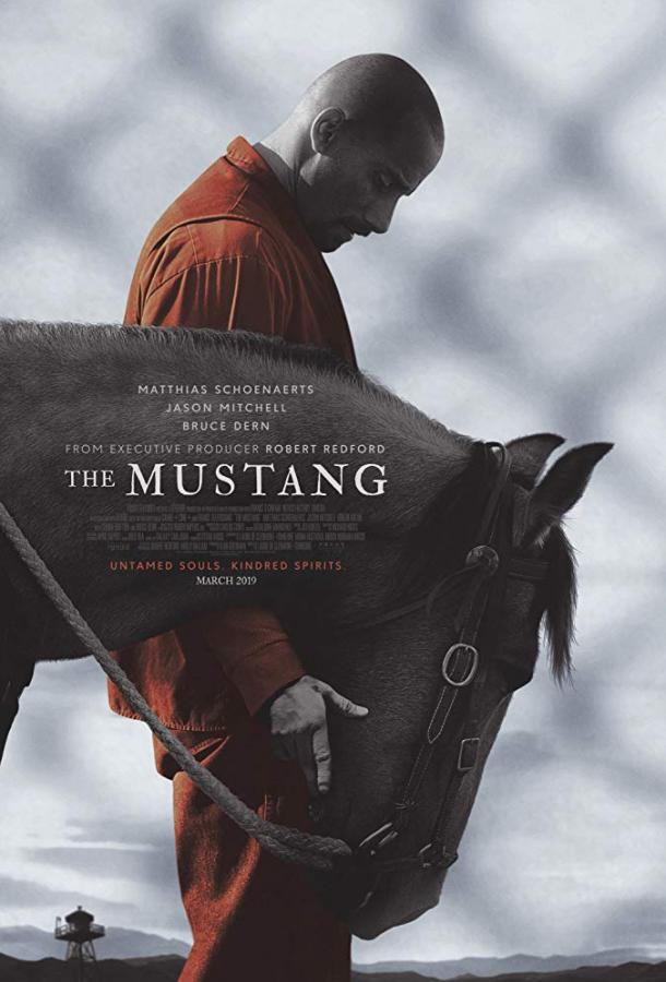 Мустанг / The Mustang (2019) 