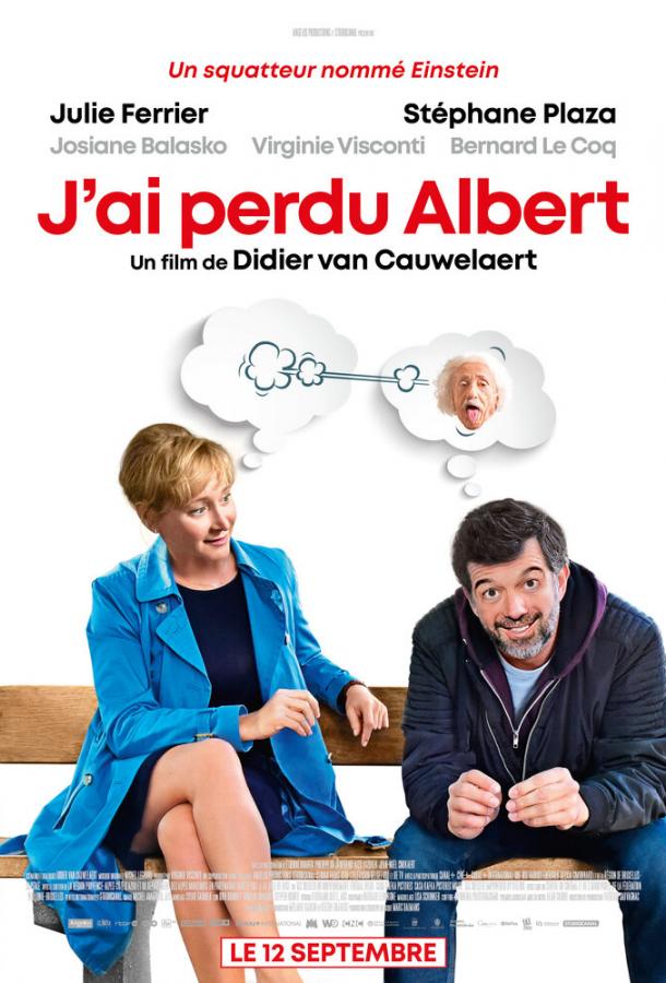 Я потерял Альбера / J'ai perdu Albert (2018) 