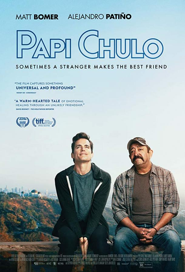 Красавчик / Papi Chulo (2018) 