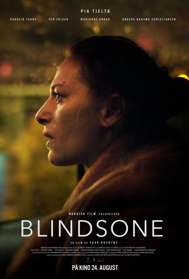 Слепое пятно / Blindsone (2018) 