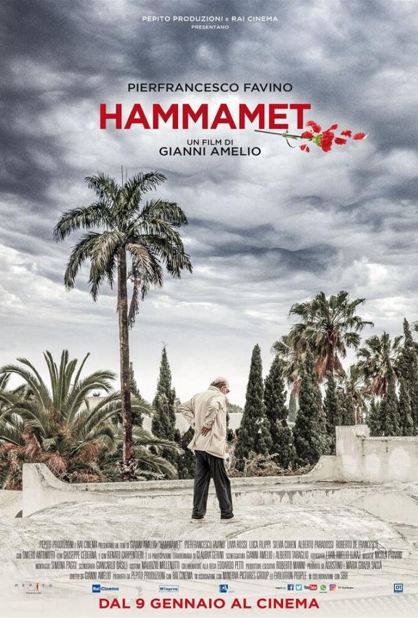 Хаммамет / Hammamet (2020) 