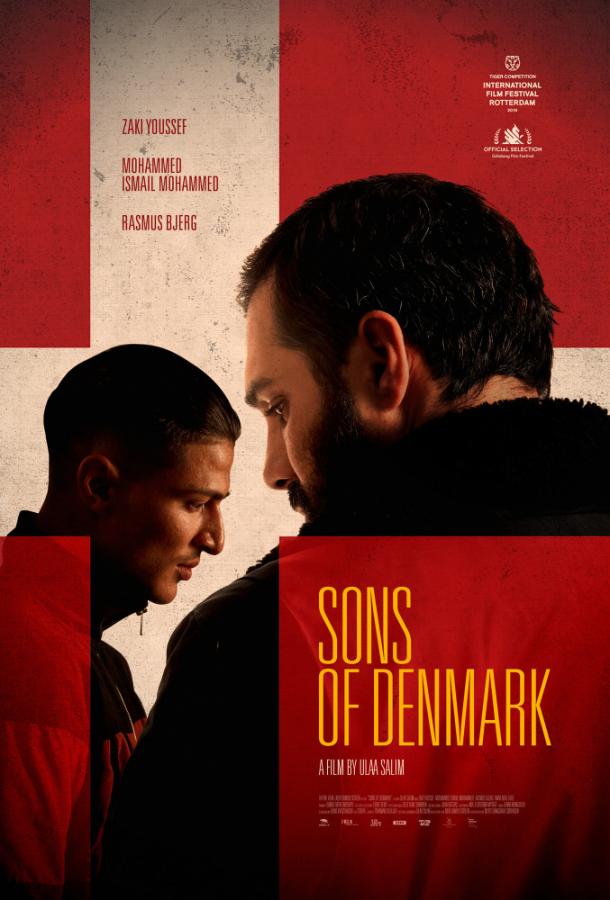 Сыны Дании / Danmarks sonner (2019) 