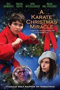 Рождественское чудо в стиле карате / A Karate Christmas Miracle (2019) 
