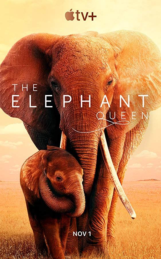 Королева слонов / The Elephant Queen (2019) 
