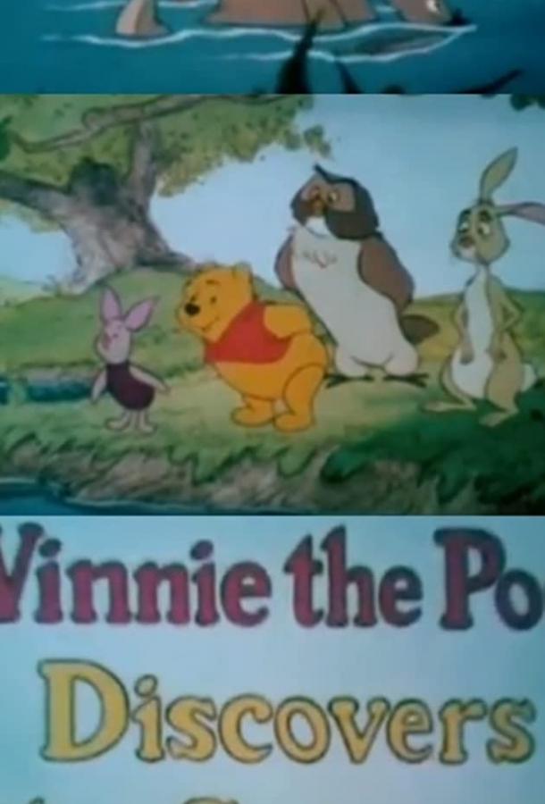 Винни Пух открывает времена года / Winnie the Pooh Discovers the Seasons (1981) 