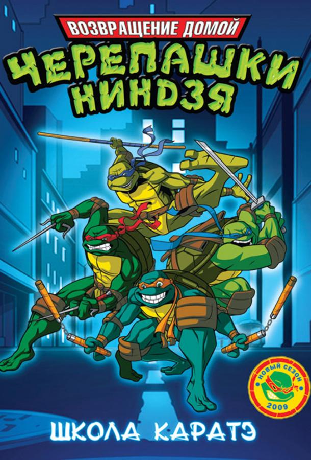 Мутанты черепашки ниндзя. Новые приключения! / Teenage Mutant Ninja Turtles (2003) 
