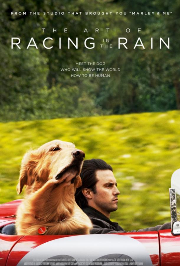 Невероятный мир глазами Энцо / The Art of Racing in the Rain (2019) 