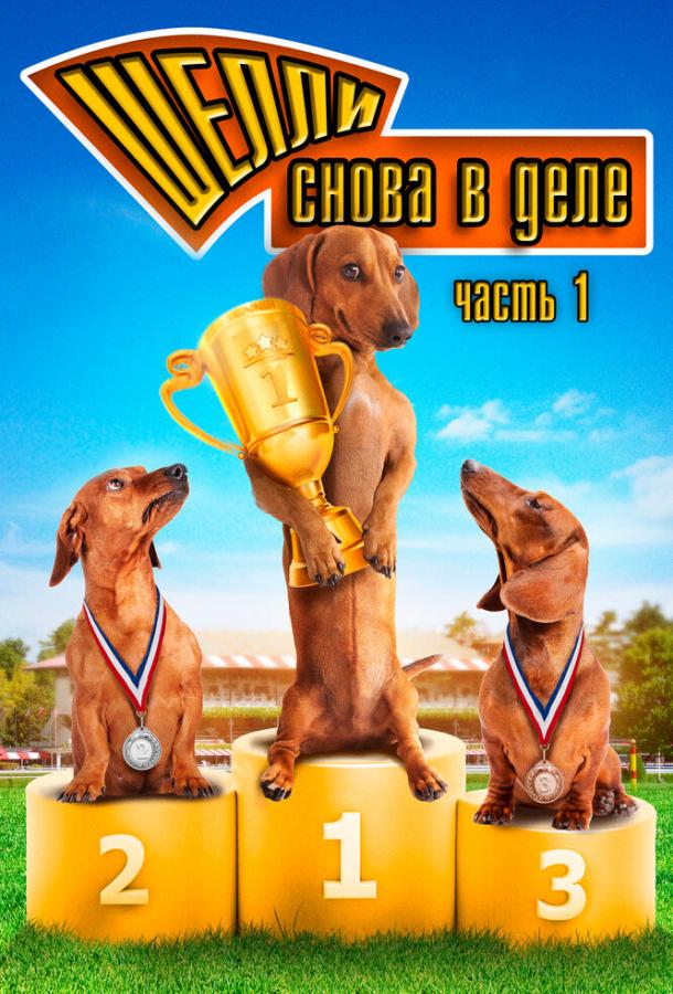 Шелли снова в деле: Часть 1 / Wiener Dog Nationals (2013) 