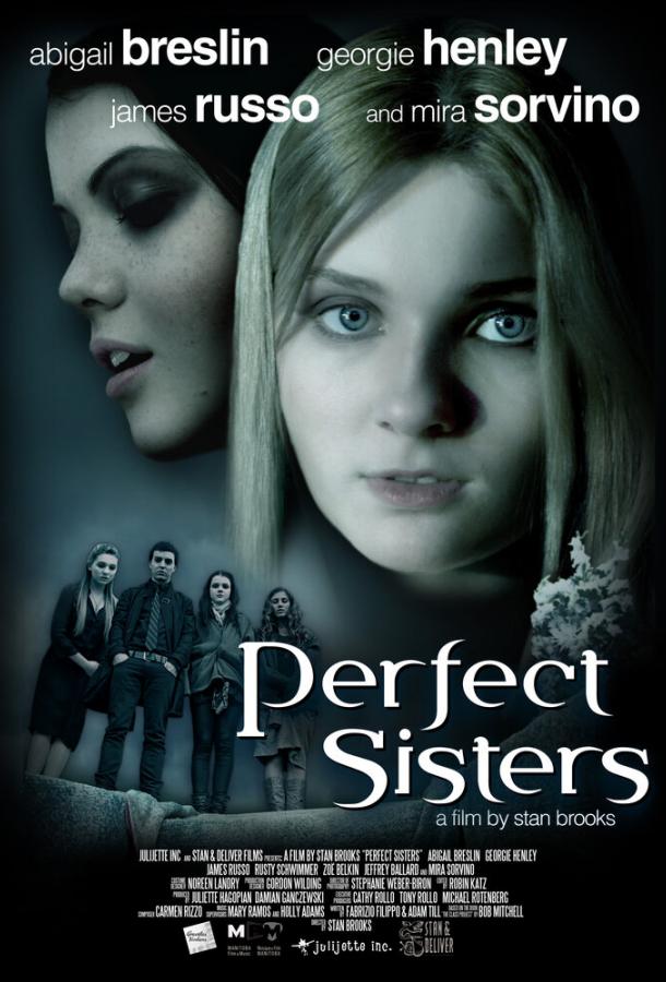 Школьный проект / Perfect Sisters (2013) 