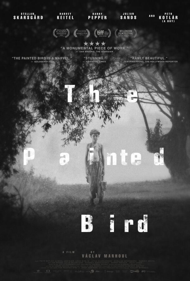 Раскрашенная птица / The Painted Bird (2019) 