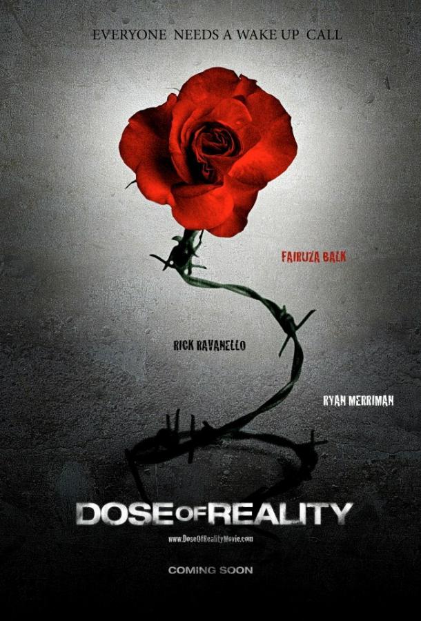 Доза реальности / Dose of Reality (2013) 