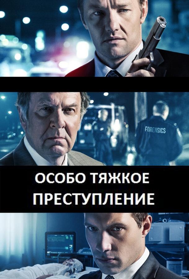 Особо тяжкое преступление / Felony (2013) 