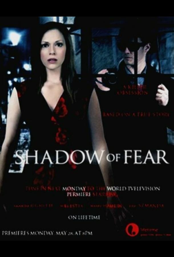 Опасные влечения / Shadow of Fear (2012) 