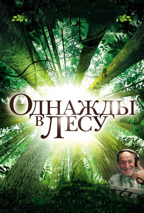 Однажды в лесу / Once in the Forest (2013) 