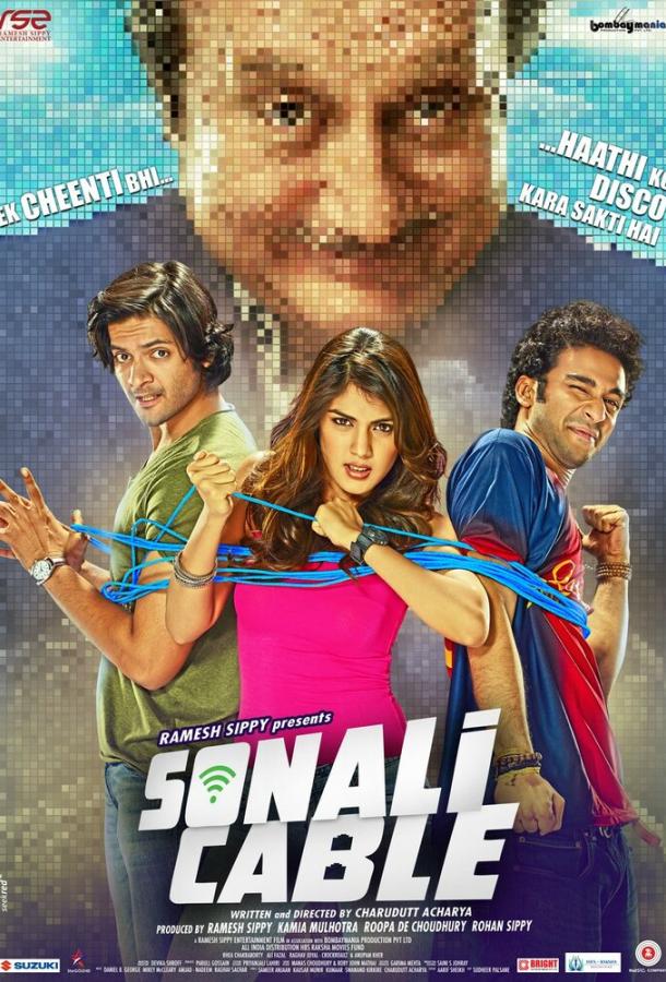 Кабельный Интернет Сонали / Sonali Cable (2014) 