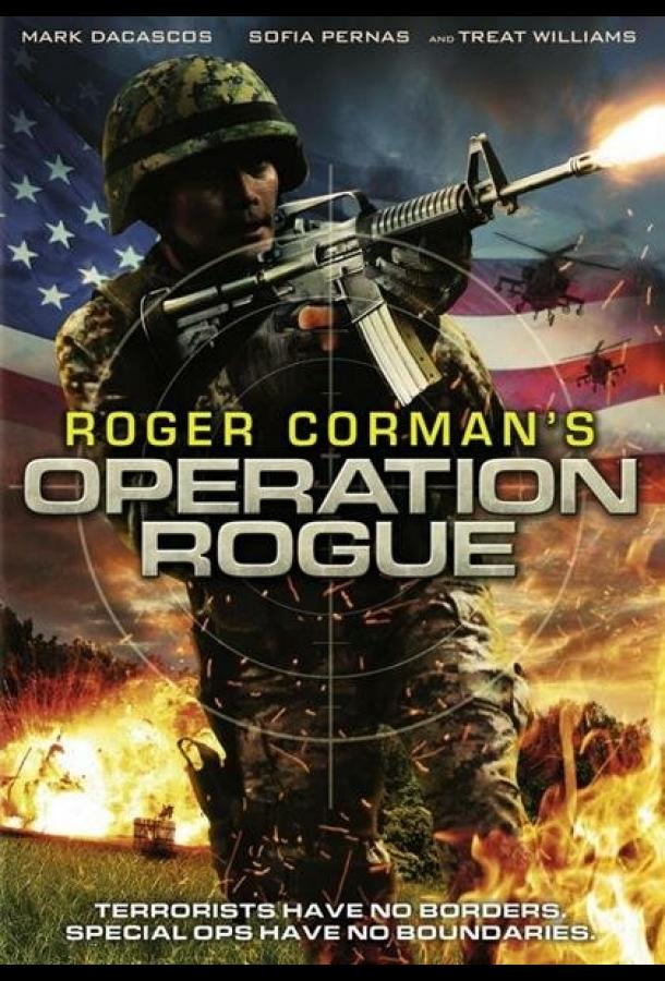 Операция «Возмездие» / Operation Rogue (2014) 