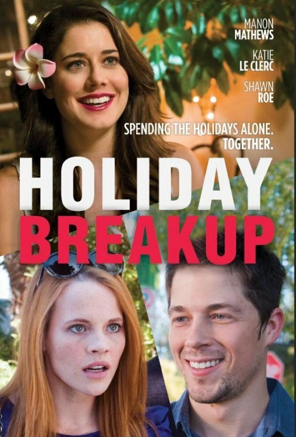 Разрыв на каникулах / Holiday Breakup (2016) 