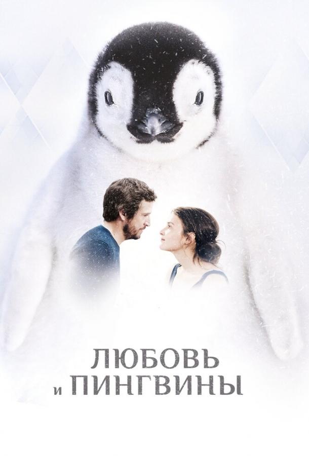 Любовь и пингвины / Le secret des banquises (2016) 