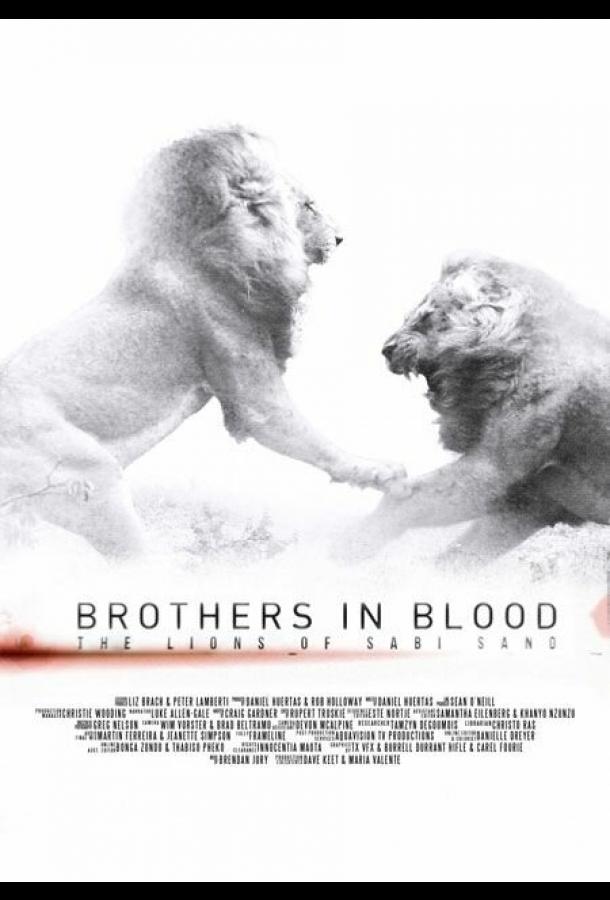 Прирожденные короли / Brothers in Blood: The Lions of Sabi Sand (2015) 