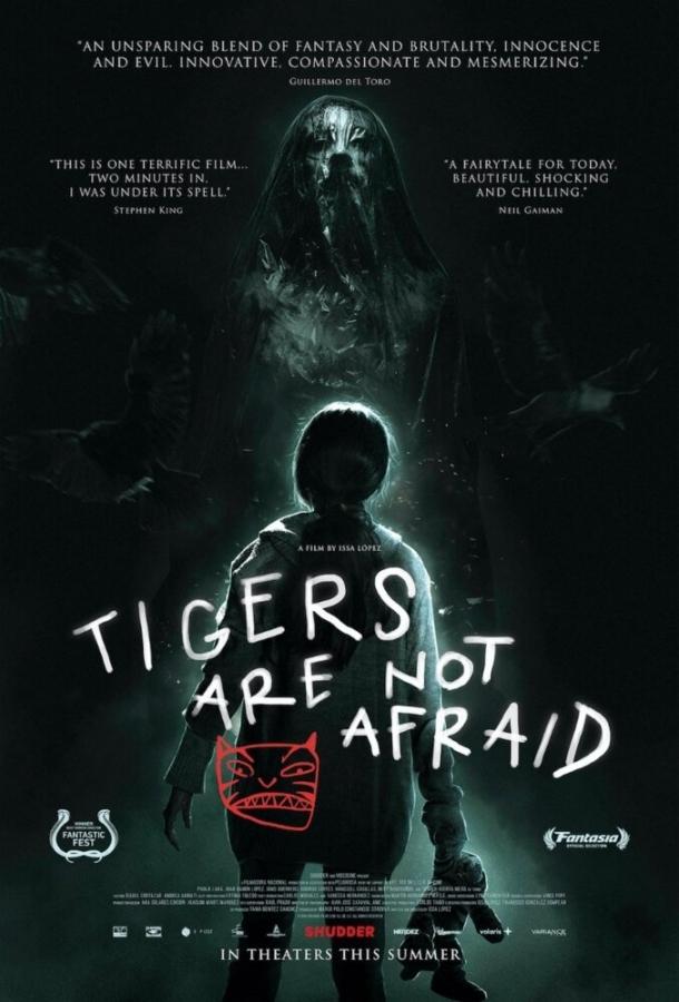 Тигры не боятся / Os Tigres Nao Tem Medo (2017) 