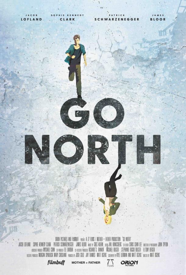 На север / Go North (2017) 