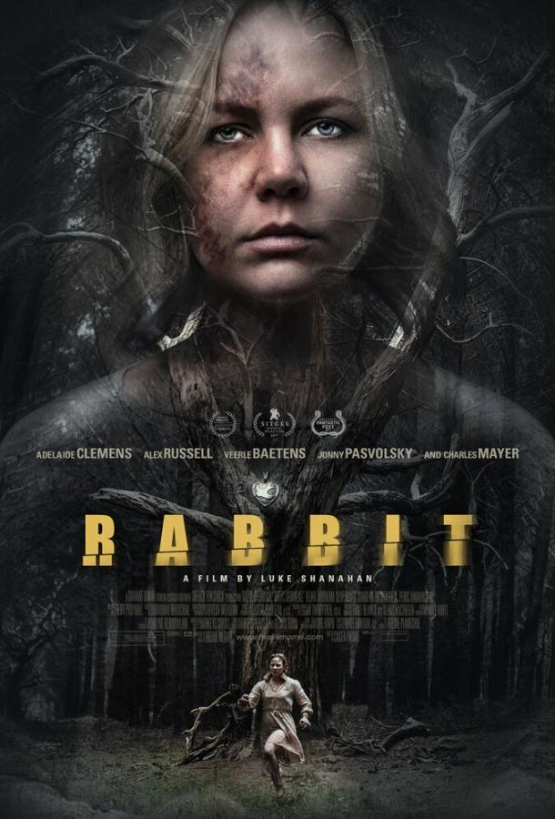Кролик / Rabbit (2017) 