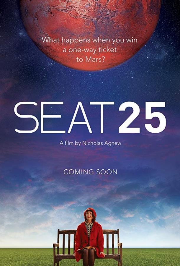 25-й пассажир / Seat 25 (2017) 