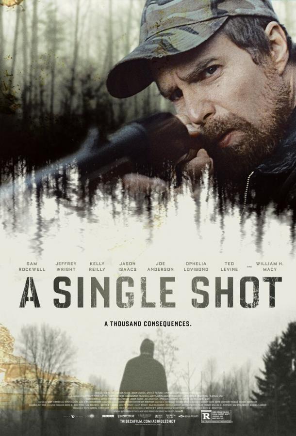 Единственный выстрел / A Single Shot (2013) 