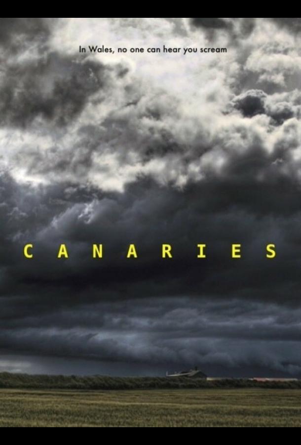 Канарейки / Canaries (2017) 