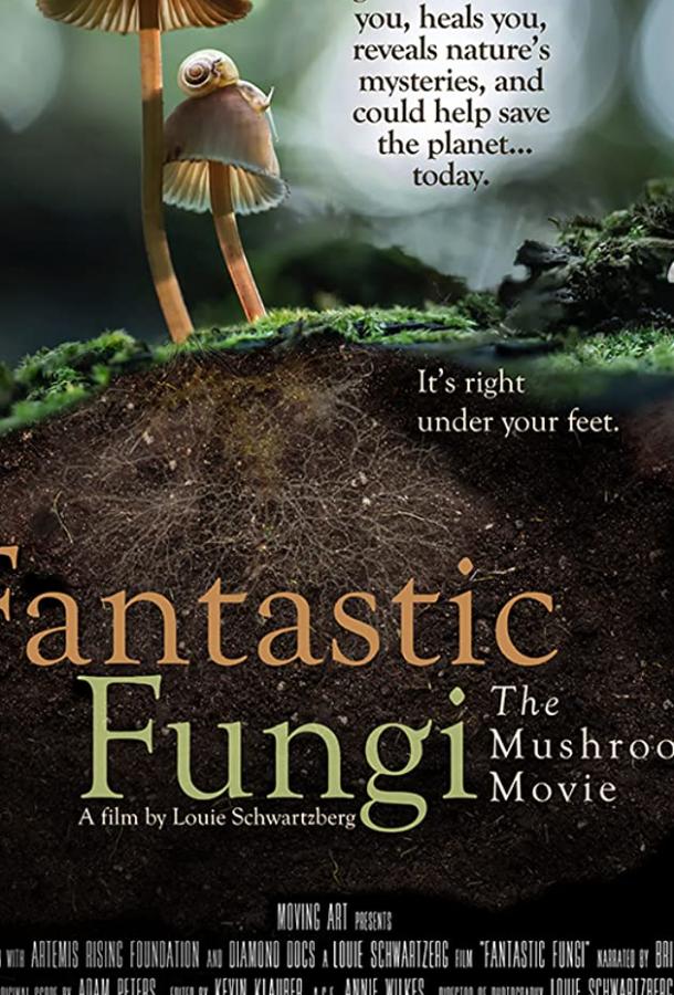 Фантастические грибы / Fantastic Fungi (2019) 