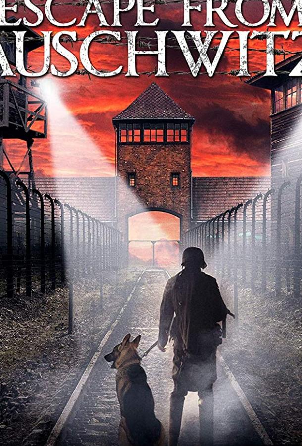 Побег из Освенцима / The Escape from Auschwitz (2020) 