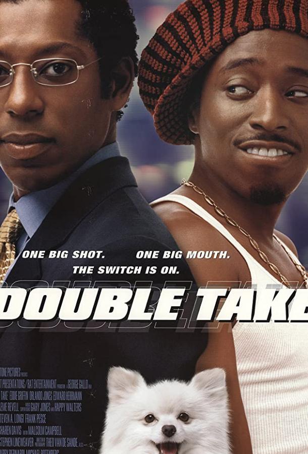 Двойные неприятности / Double Take (2001) 