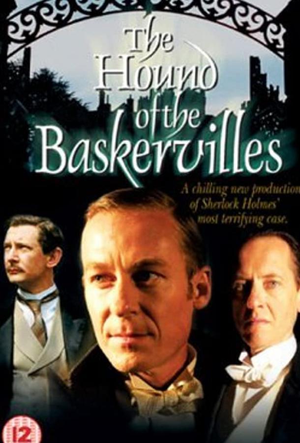 Собака Баскервилей (ТВ) / The Hound of the Baskervilles (2002) 