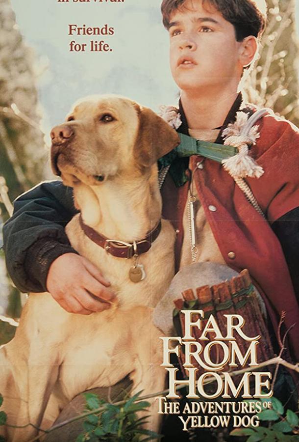 Далеко от дома: Приключения желтого пса / Far from Home: The Adventures of Yellow Dog (1994) 