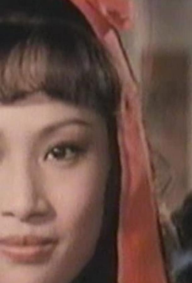 Женщины-констебли / Fei yan shuang jiao (1978) 