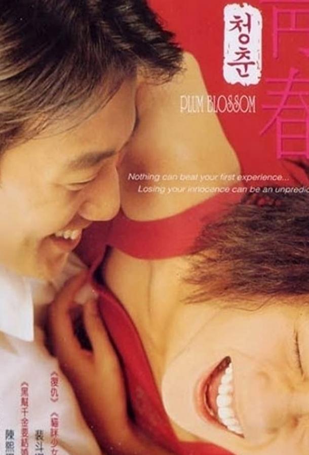 Сливовый цвет / Cheongchun (2000) 