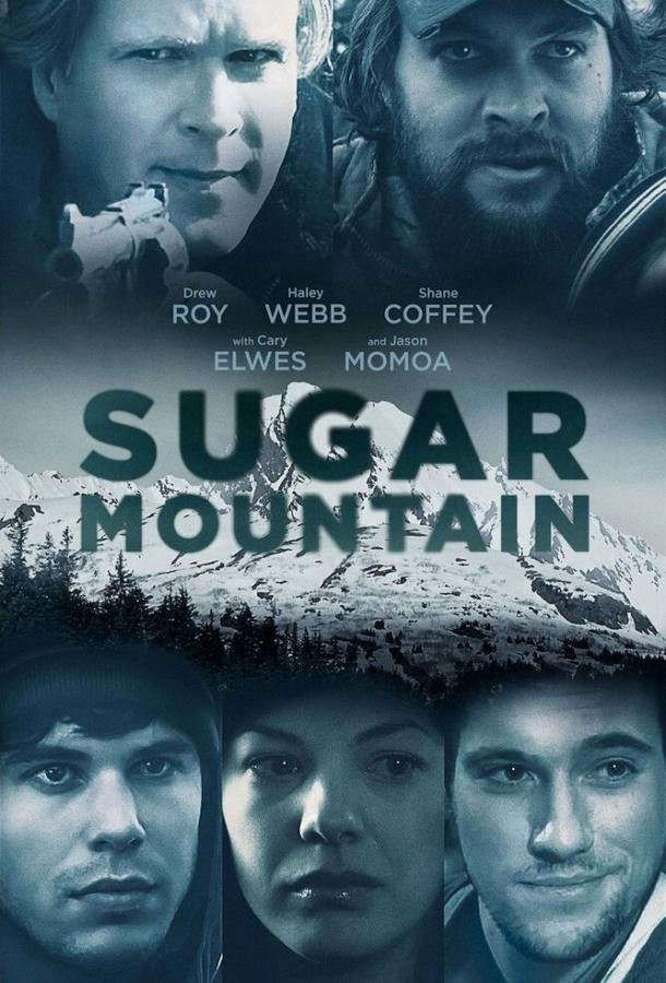 Сахарная гора / Sugar Mountain (2016) 