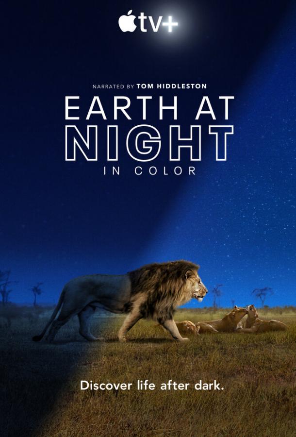 Земля ночью в цвете / Earth at Night in Color (2020) 