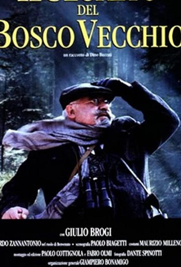 Тайна старого леса / Il segreto del bosco vecchio (1993) 