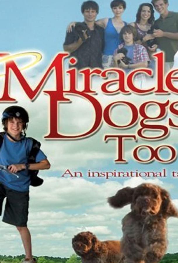 Зак и чудо-собаки / Miracle Dogs Too (2006) 