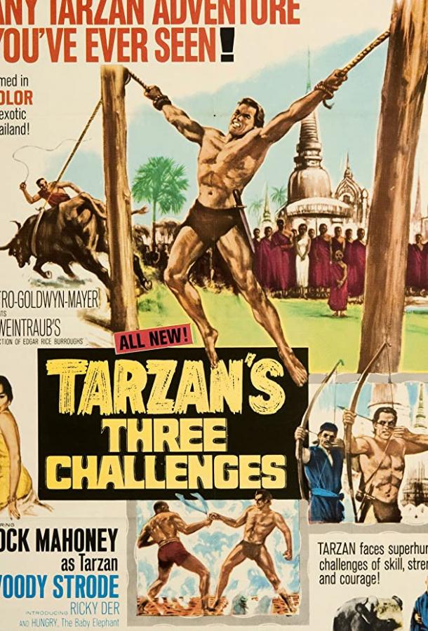 Три испытания Тарзана / Tarzan's Three Challenges (1963) 