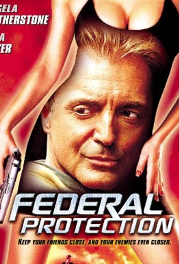 Федеральная защита (ТВ) / Federal Protection (2001) 