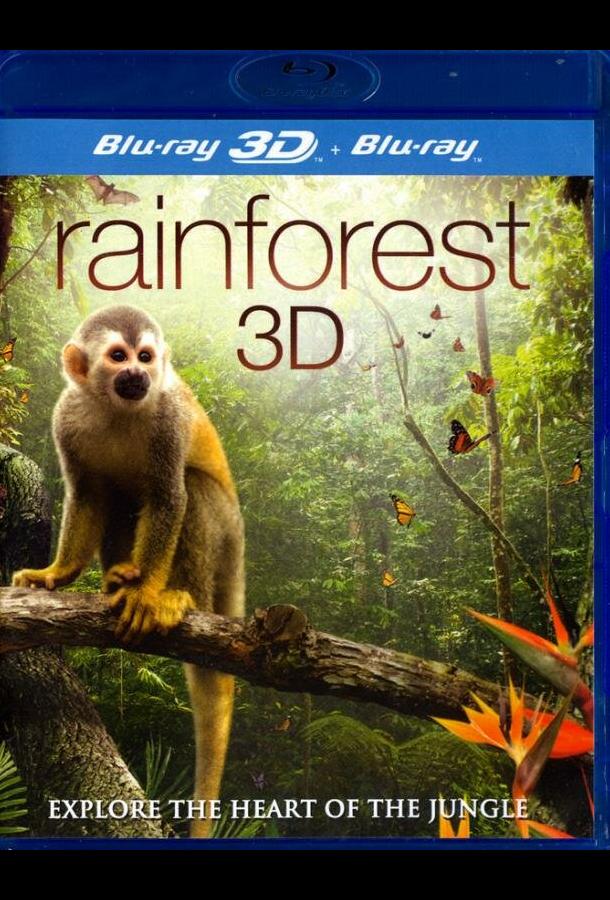 Тропический лес / Fascination Rainforest (2012) 