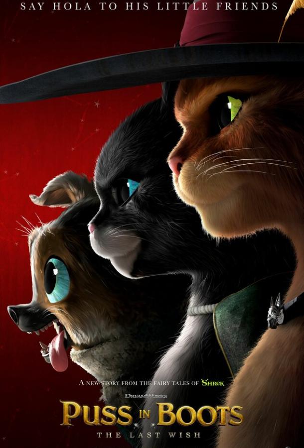 Кот в сапогах 2: Последнее желание мультфильм (2022)